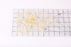 a clear ruler with a floral design on it, placed on a white surface.