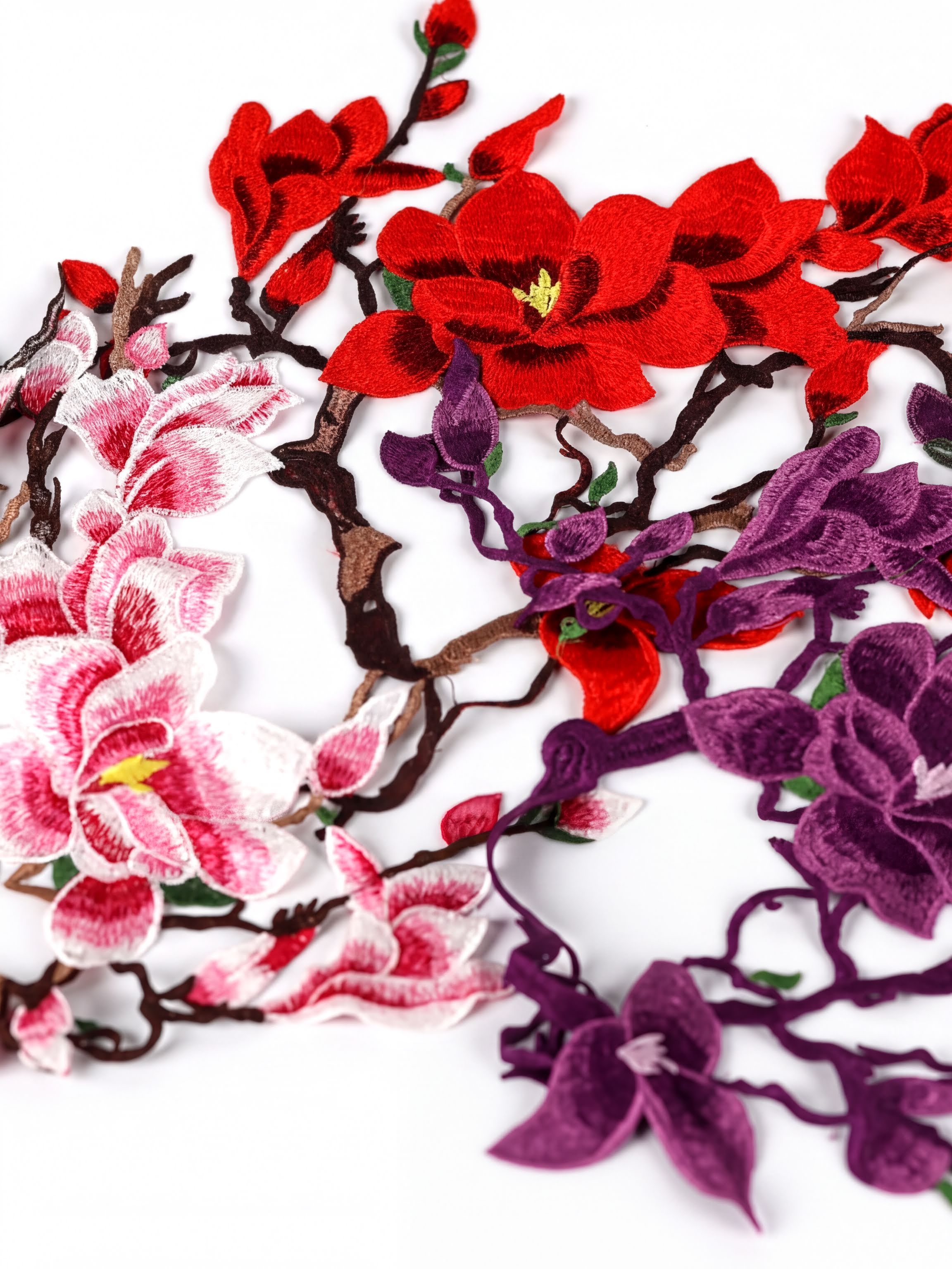 a close-up view of a branch with red and purple flowers, including pink and purple flowers, against a white background.