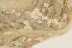 The image is a close-up of a fabric with a gold and white color scheme, featuring a pattern of small white flowers or leaves scattered throughout the fabric.