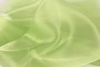 The image is a close-up of a soft, flowing fabric with a pale green color. The fabric appears to be made of silk or a similar material, and it has a smooth, shiny texture. The image does not contain any discernible objects or actions, and it does not depict a scene or a person. The image is a simple, uncluttered composition that focuses on the fabric's texture and color.