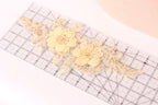 a clear ruler with a decorative floral design on it.