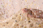 A hand is holding a delicate, intricately embroidered fabric with a floral pattern.