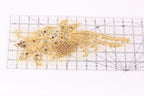 a decorative gold and beige floral pattern with small beads or sequins, placed on a transparent ruler for scale.