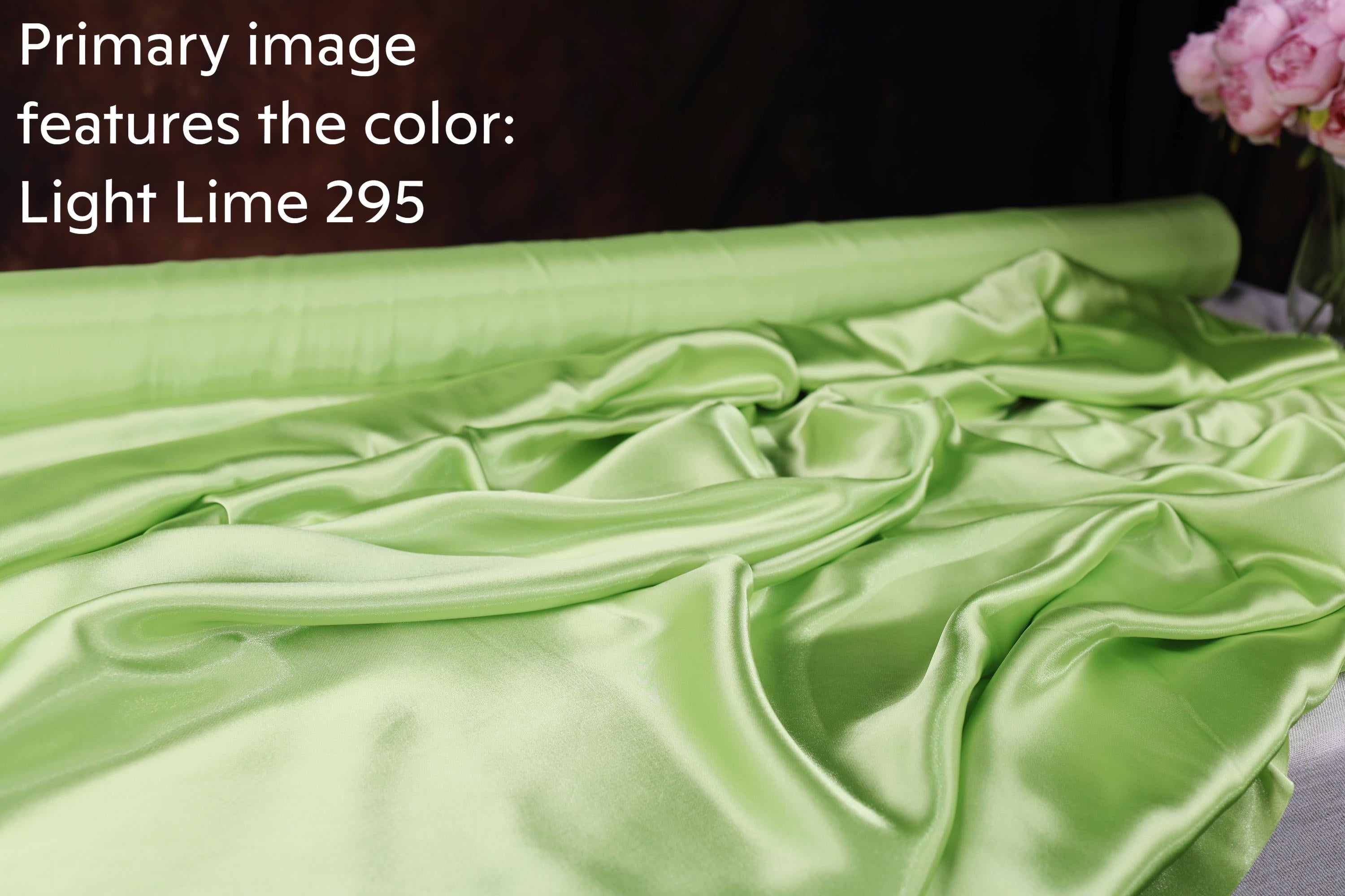 the color: Light Lime 295