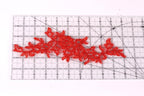 a clear ruler with red floral embroidery pieces placed on it.