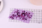 a clear ruler with a purple floral design on it, placed on a white surface.