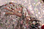 A close-up view of a hand holding a delicate, intricately embroidered fabric with a floral pattern.