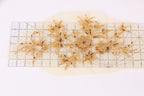 a collection of gold-colored floral designs, including flowers and leaves, arranged on a ruler against a white background.