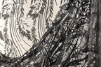 a close-up view of a black and white fabric with intricate black and white sequin patterns. The fabric appears to be a sheer or sheer-like material, with a delicate and elegant design.