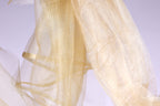 a close-up view of a delicate, shimmering gold fabric, possibly a sheer or sheer-like material, with a soft, flowing texture.
