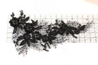 a close-up view of a black lace flower pattern on a ruler, with the ruler providing a scale reference.