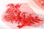 a close-up view of a red floral design on a transparent surface, with a ruler visible in the background.