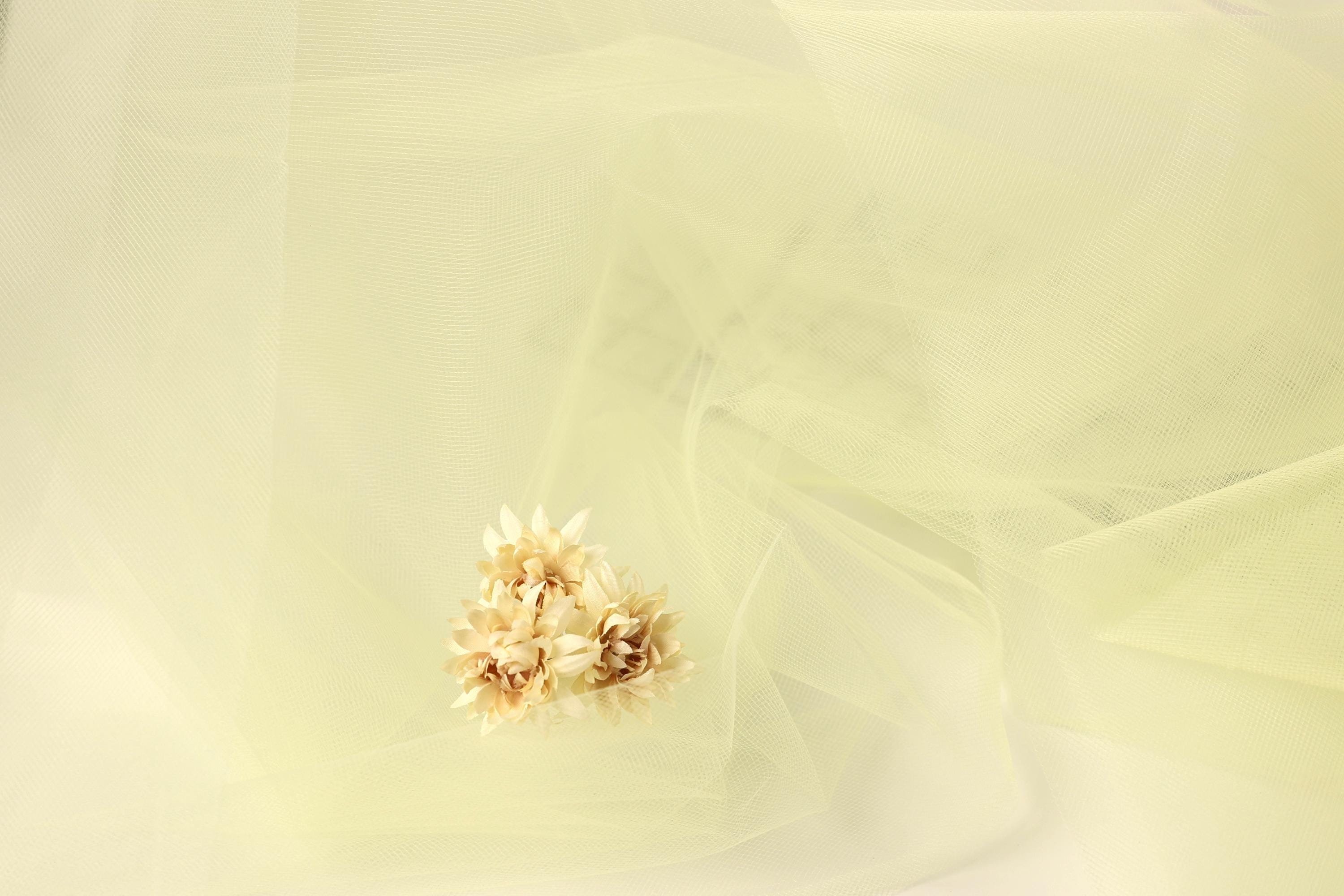 A single delicate flower is the focal point of the image, set against a soft, light yellow background.