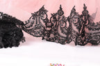 a close-up view of a delicate lace trim with intricate black lace patterns and embellishments, such as sequins or rhinestones, against a pink background.