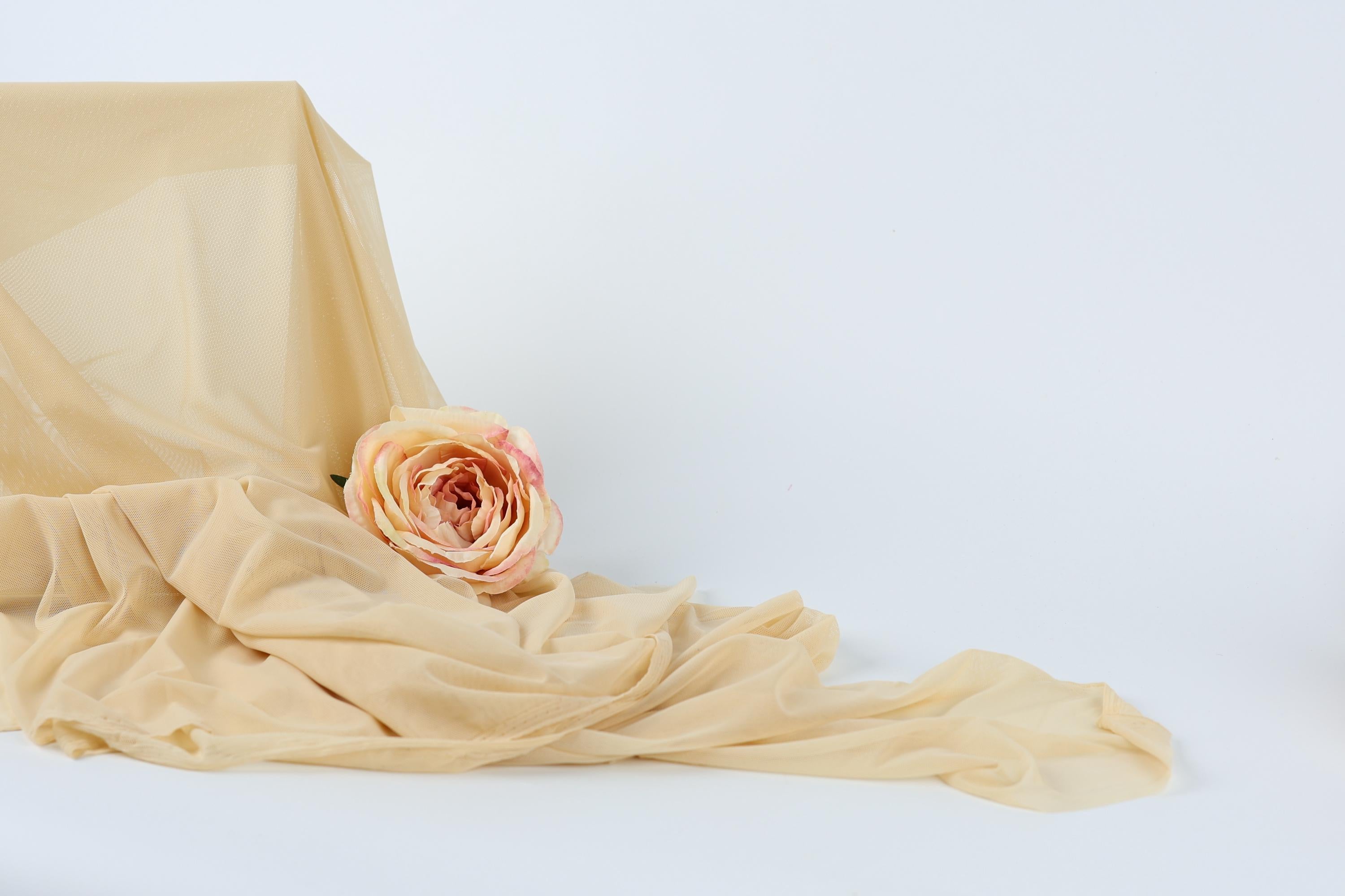 A single pink rose rests on a crumpled beige fabric against a plain white background.