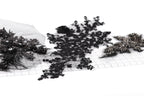 various black and white fabric pieces, including a lace-like material and a floral pattern, arranged on a white surface.