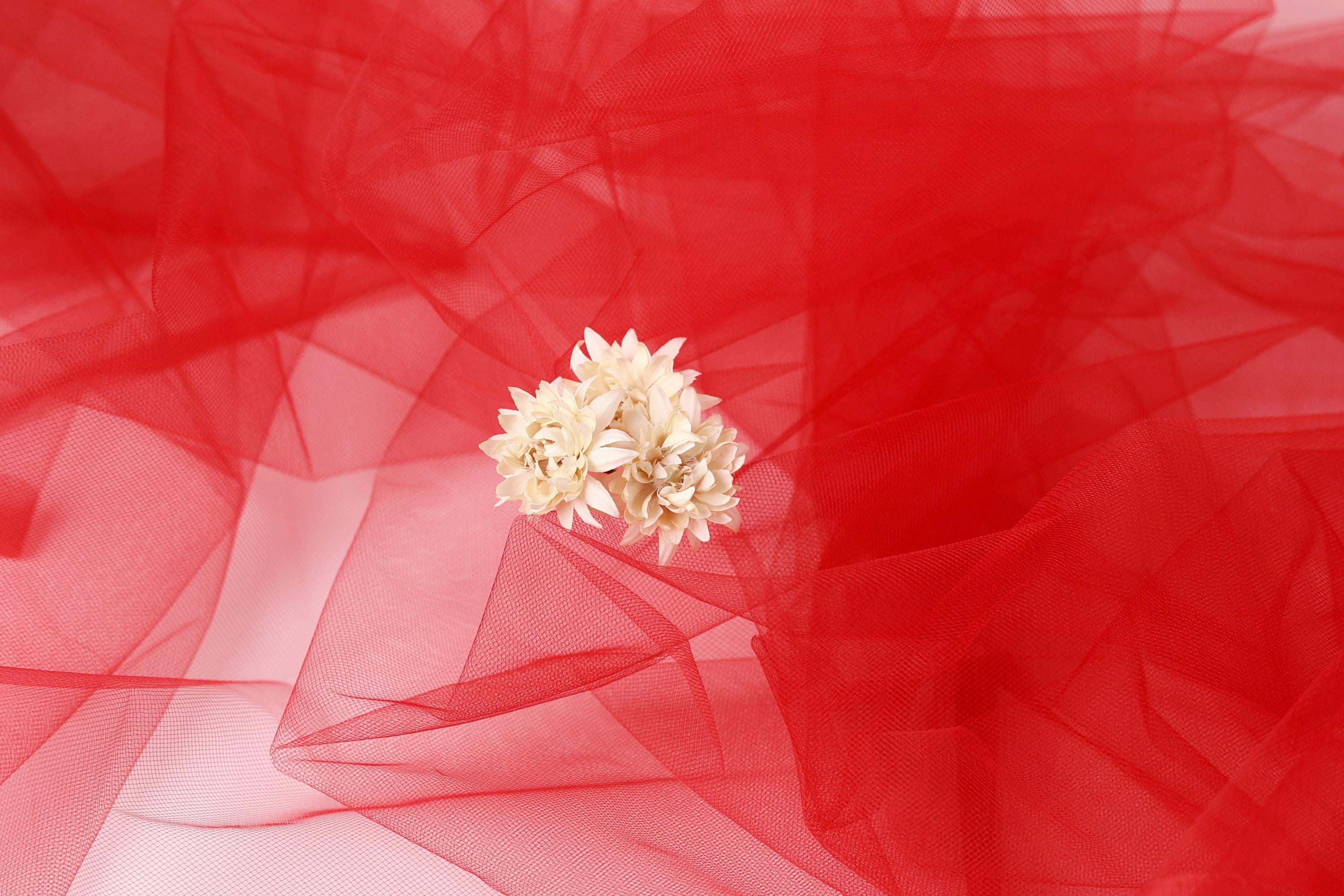 A single white flower is centered against a vibrant red background, creating a striking contrast.