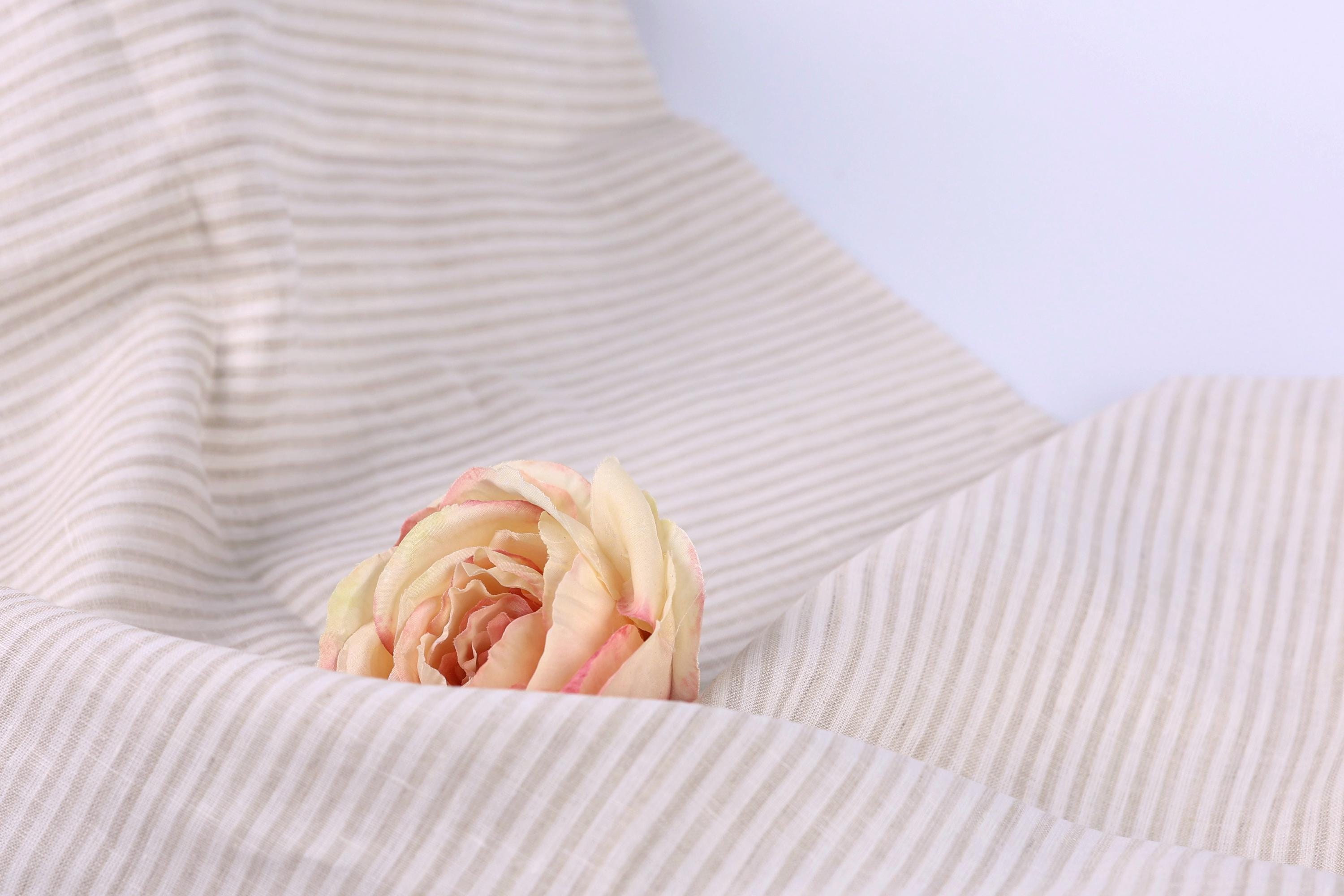A single, delicate pink rose rests on a beige fabric with horizontal stripes.