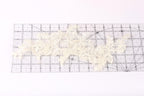 a close-up view of a piece of white lace with intricate floral patterns, placed on a transparent ruler.