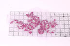 a clear ruler with pink sequin flowers placed on it.