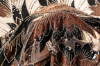 a close-up view of a fabric with a floral pattern, adorned with sequins and beads in shades of brown, black, and gold.
