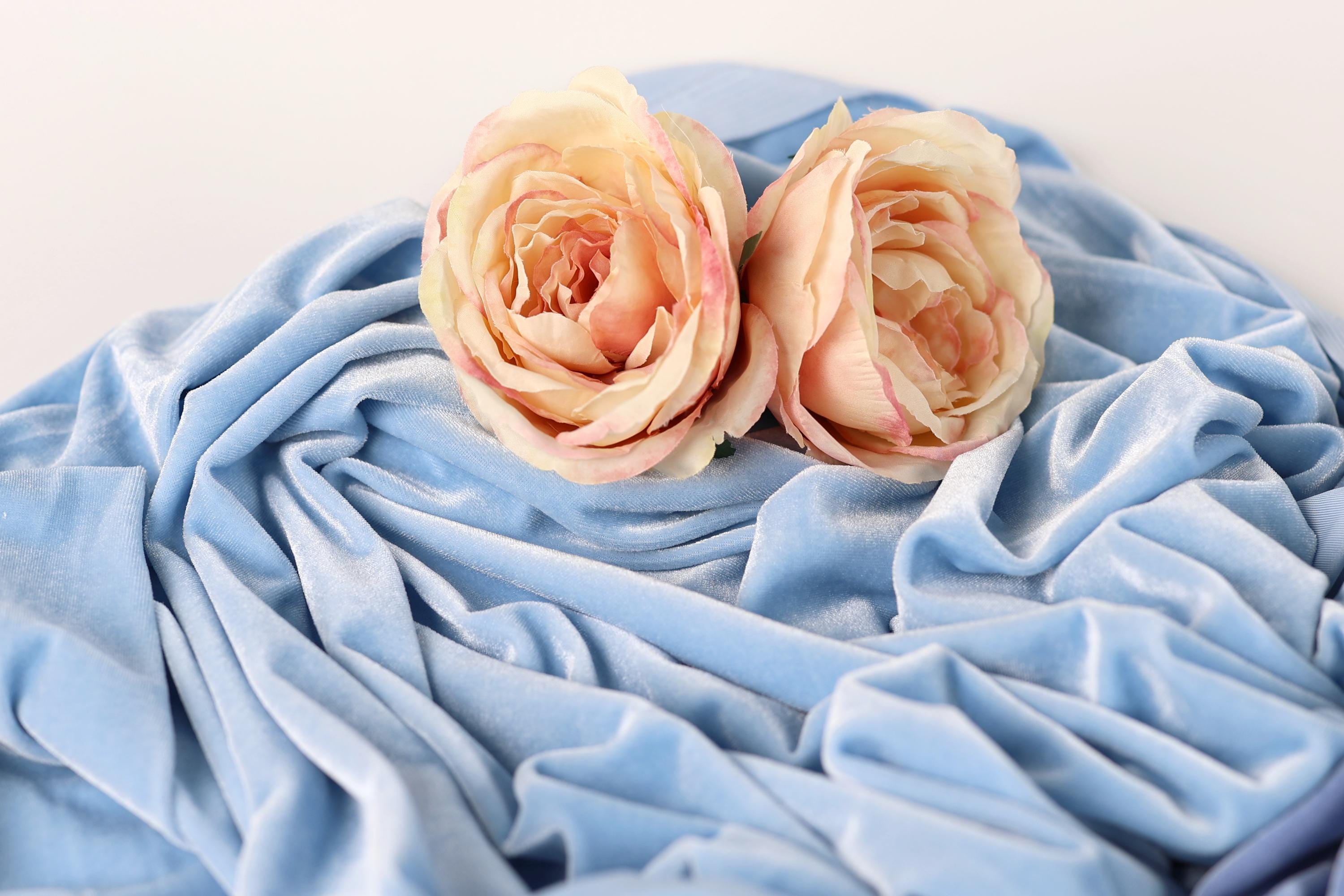 Two delicate pink roses resting on a crumpled blue fabric.