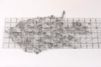 a collection of small, silver-colored sequins or beads arranged on a transparent surface, such as a piece of paper or a ruler.