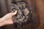 A hand is holding a piece of fabric with a detailed embroidered flower design on it.
