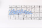 a clear ruler with a blue leaf pattern placed on it.