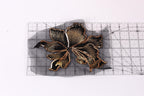 a close-up view of a detailed embroidered flower design on a transparent background.