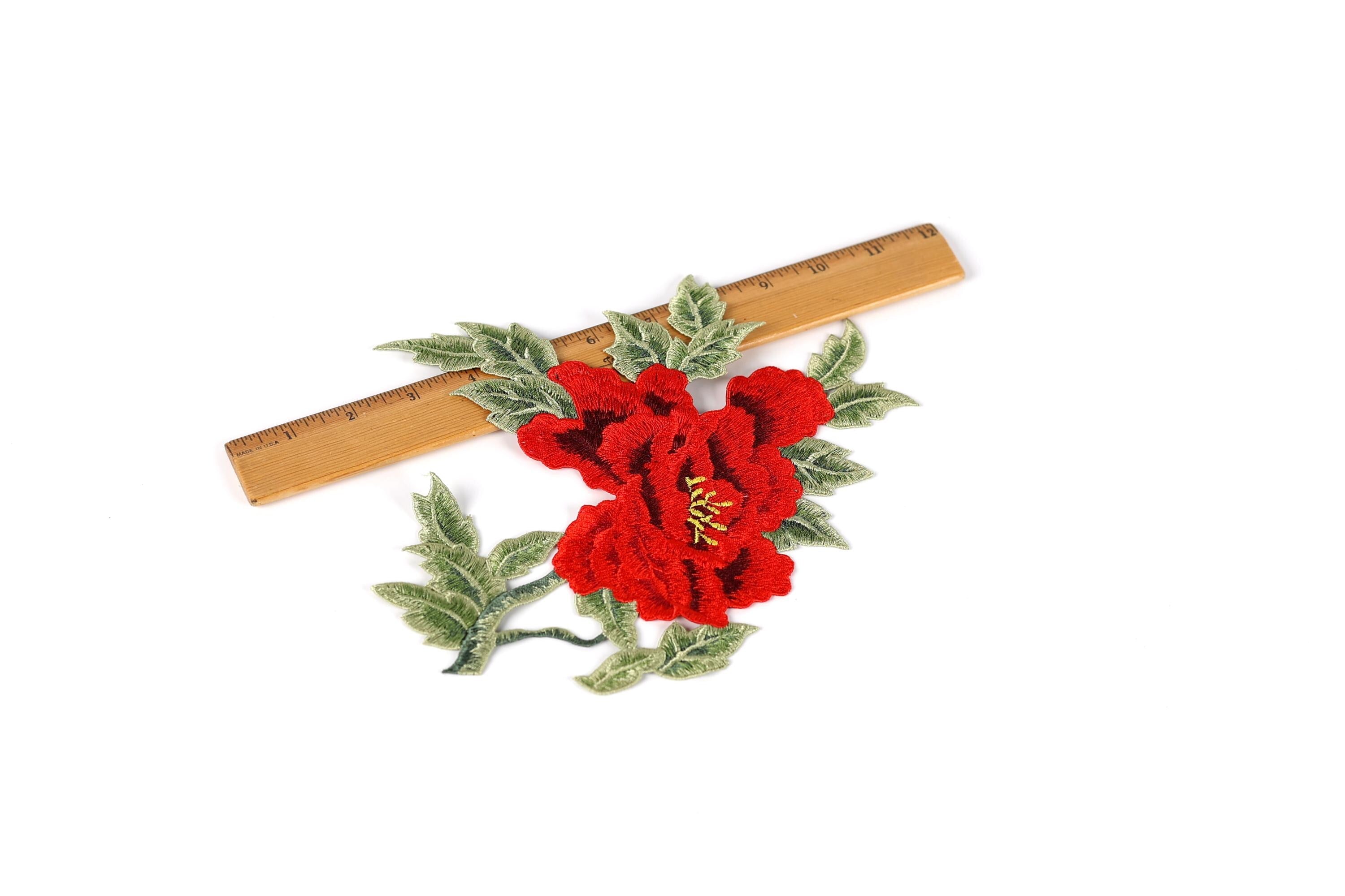 a red flower with green leaves, and a wooden ruler is placed next to it.