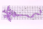 a clear ruler with purple flower designs placed on it.
