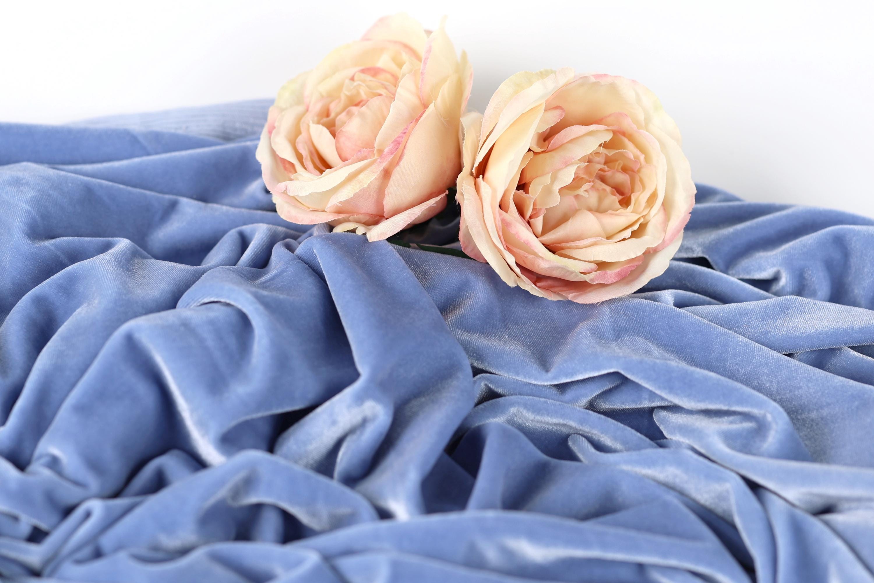 Two light pink roses resting on a crumpled blue fabric.