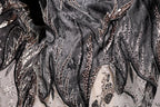The image is a close-up view of a fabric with intricate black and silver embroidery, featuring a floral pattern and sparkling embellishments.