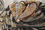 a close-up view of a fabric with a gold and black sequin pattern. The fabric appears to be a sheer material, with a mix of black, white, and gold sequins. The fabric is intricately designed, with the sequins arranged in a way that creates a visually striking pattern. The image does not contain any text or other objects, and the focus is solely on the detailed texture and design of the fabric.