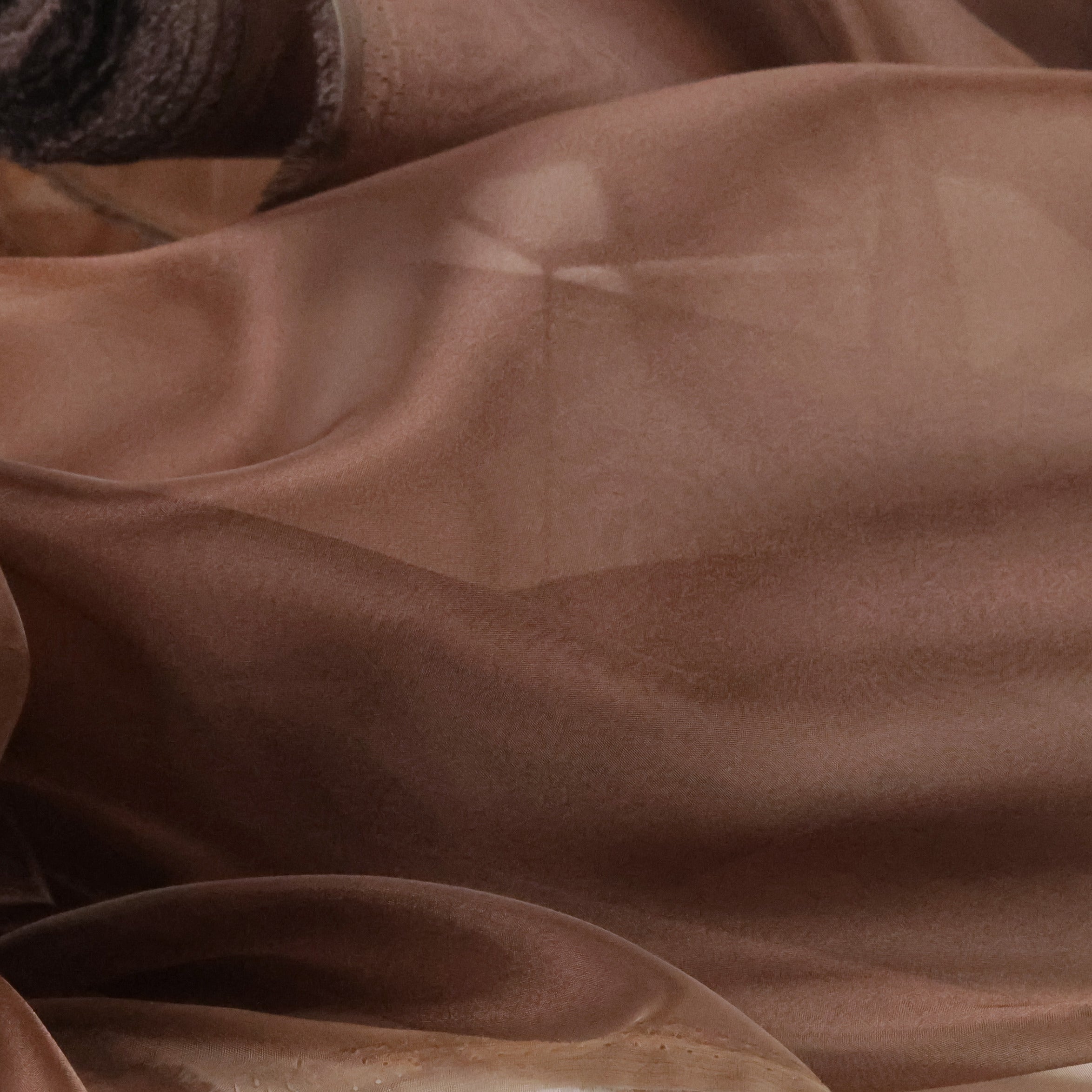 Charcoal & Chocolate Crystal Organdy – Sheer Organza Fabric 58/60"